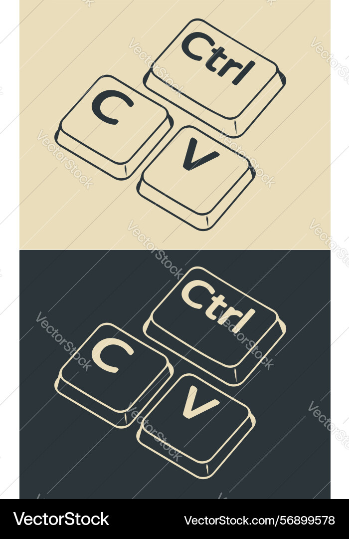 Ctrl c and v keys stylized vector image