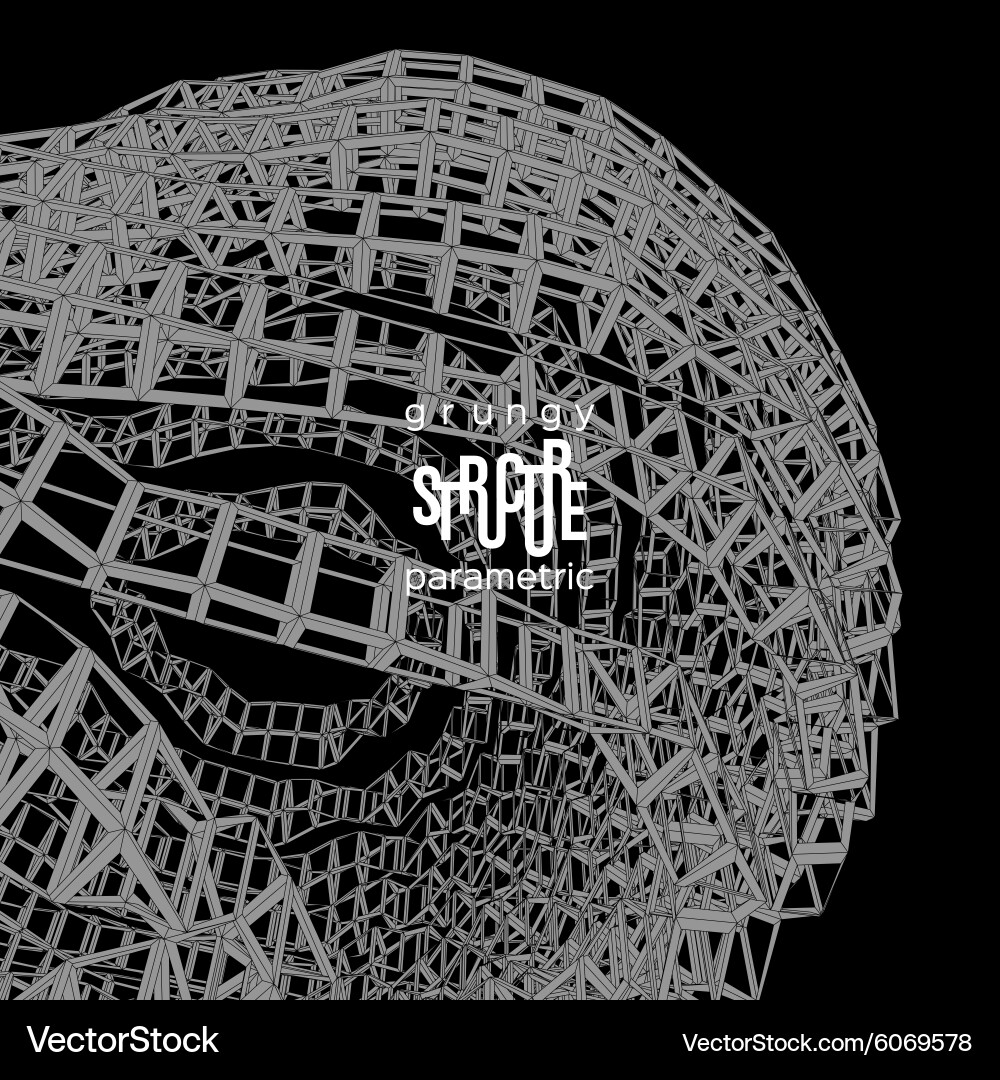 Grunge parametric structure design vector image