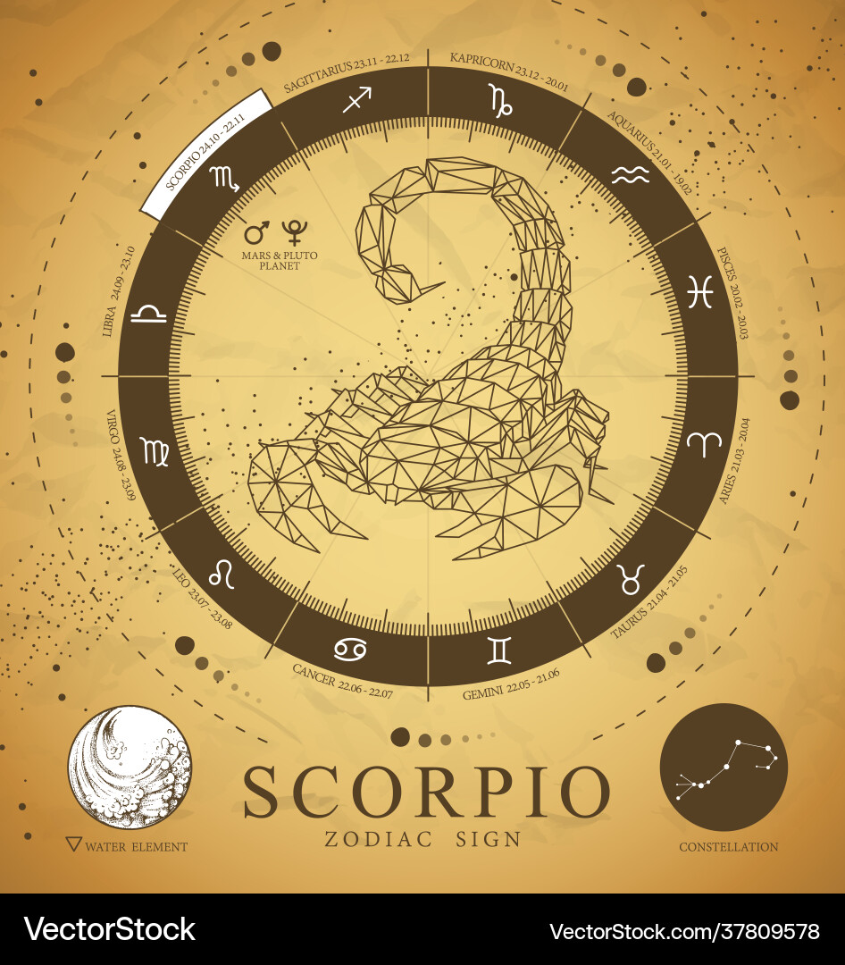 Karte mit Astrologie Scorpio Sternzeichen Karte mit Astrologie Scorpio Sternzeichen vektorbild