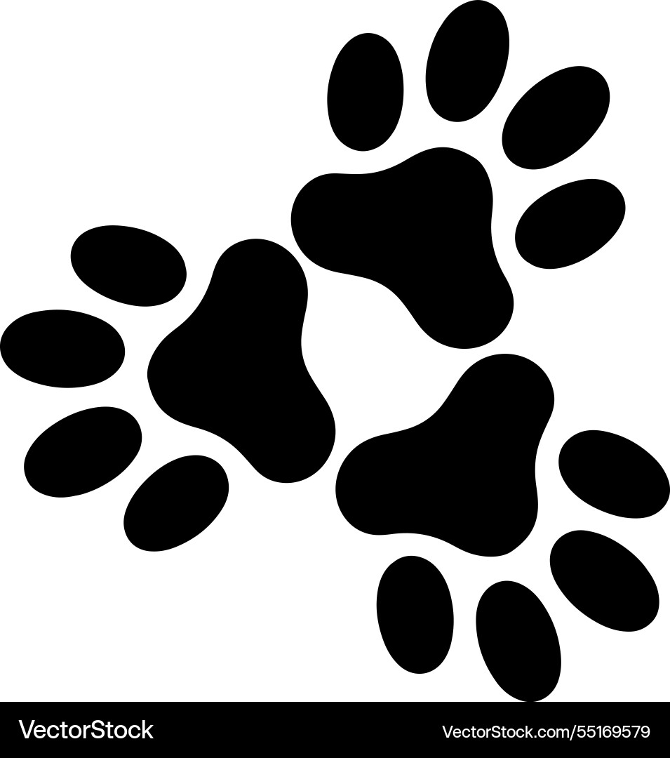 Dow paw design with star shape on white background Dow paw design with star shape on white background Vector Image