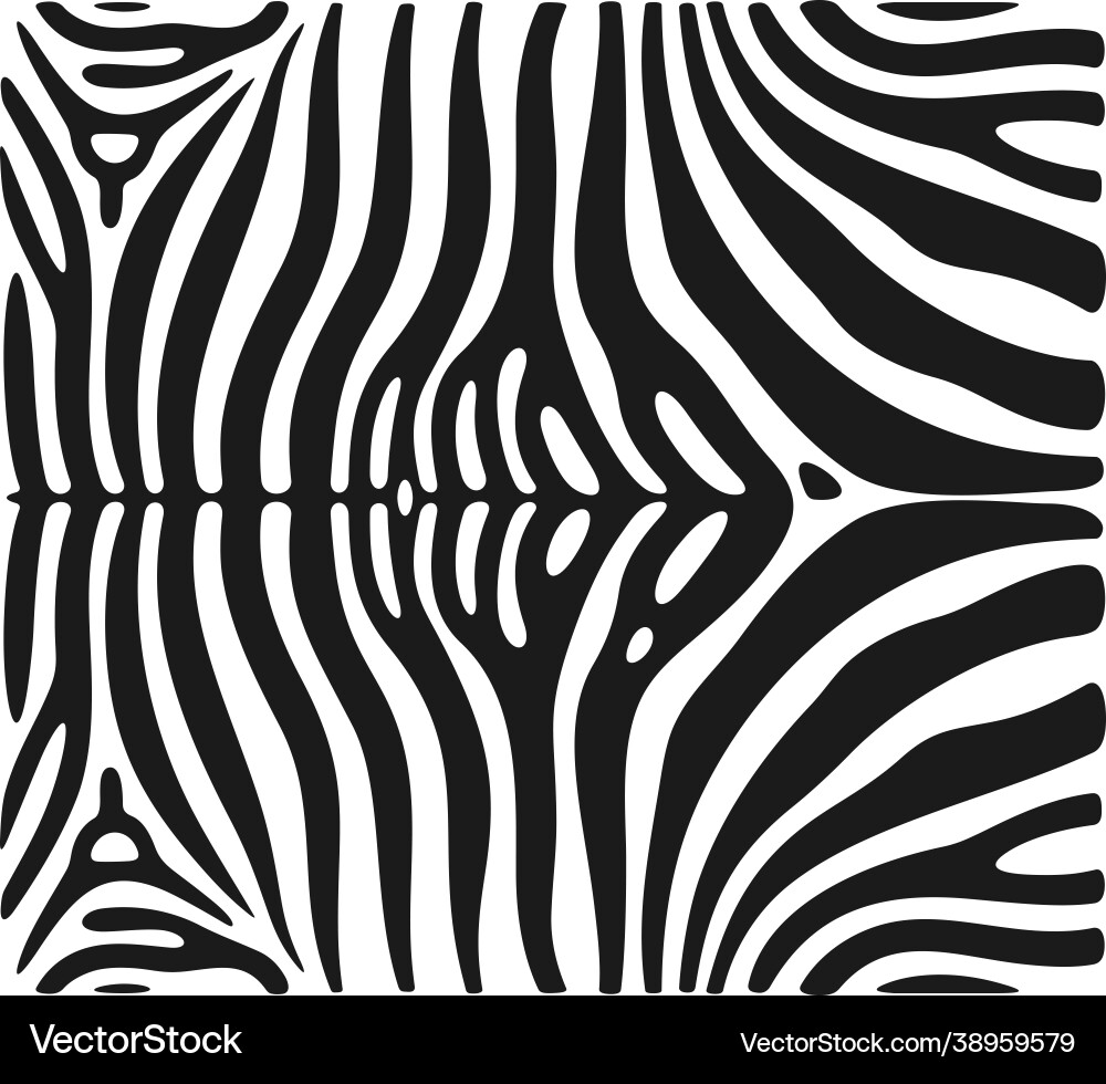 Zebra texture pattern vector image