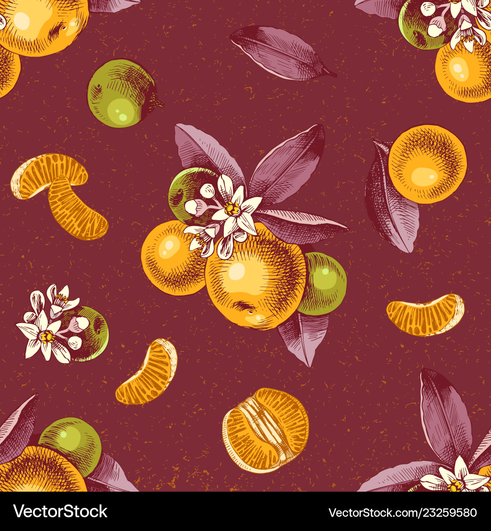 Seamless pattern with mandarin branches and slices Seamless pattern with mandarin branches and slices Vector Image