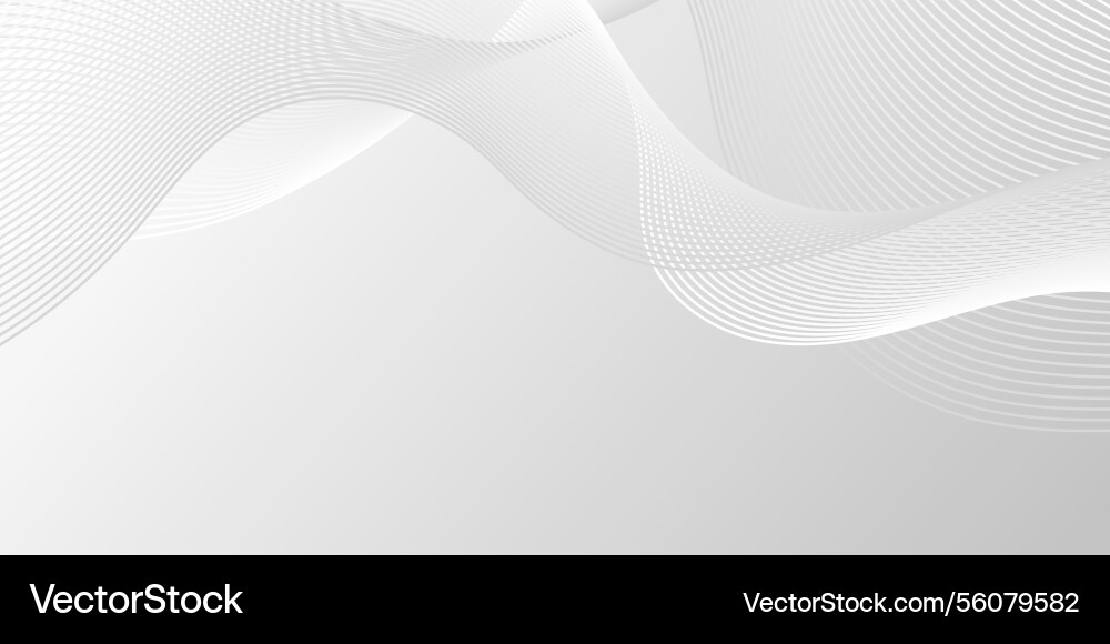 Grey gradient background with line waves minimal Vector Image