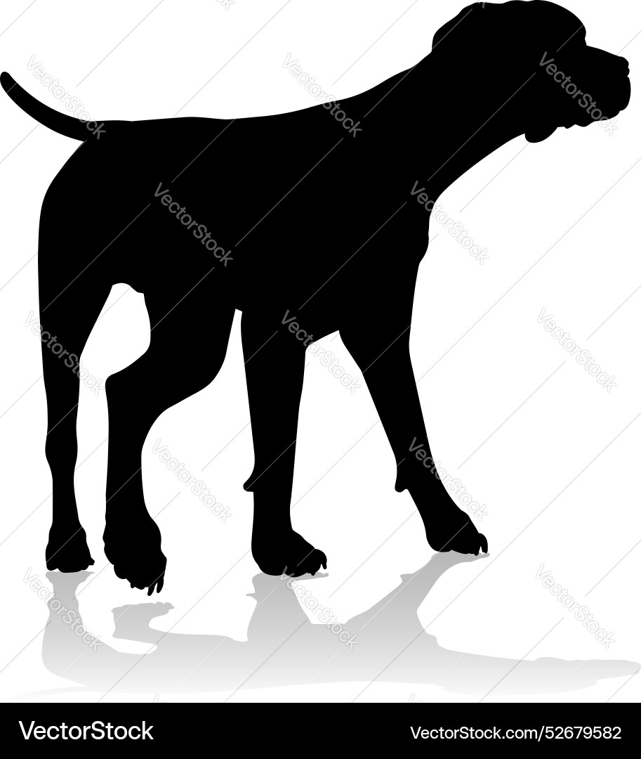 Hundesilhouette Haustier Hundesilhouette Haustier vektorbild