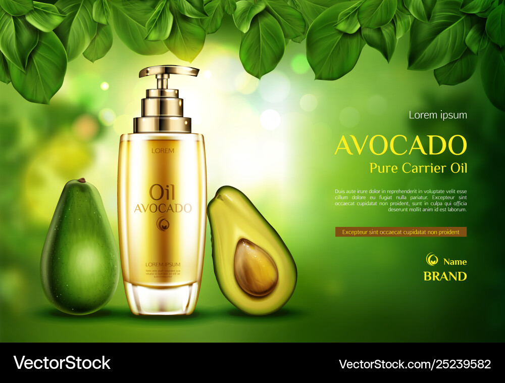 Kosmetik Öl Avocado Bio-Öko-Produktflasche Kosmetik Öl Avocado Bio-Öko-Produktflasche vektorbild