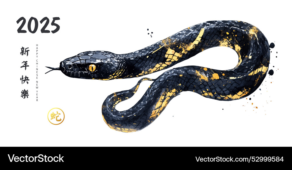 Happy chinese new year 2025 of the snake Happy chinese new year 2025 of the snake vector image
