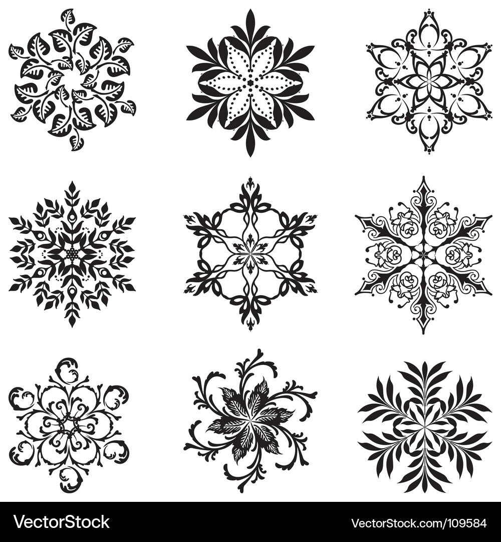Snowflake Collection Vector Image