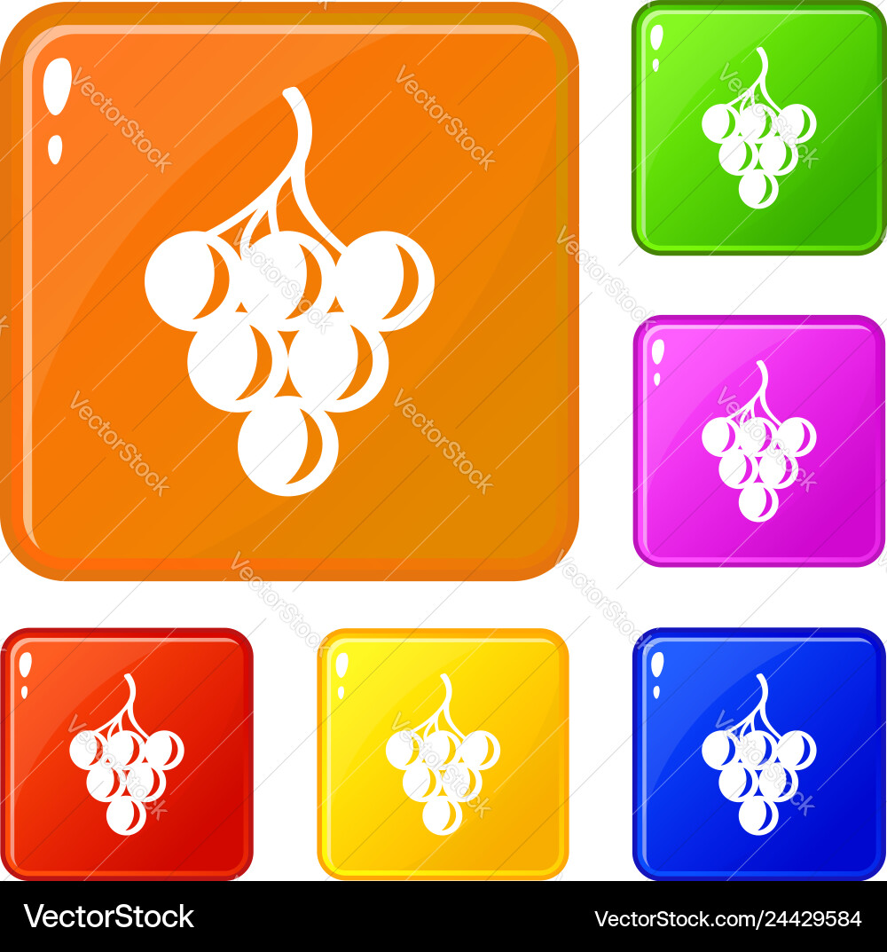 Sour grape icons set color Vector Image