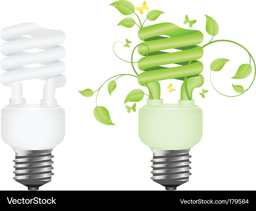 Two Floral Power Bulbs Vector Image