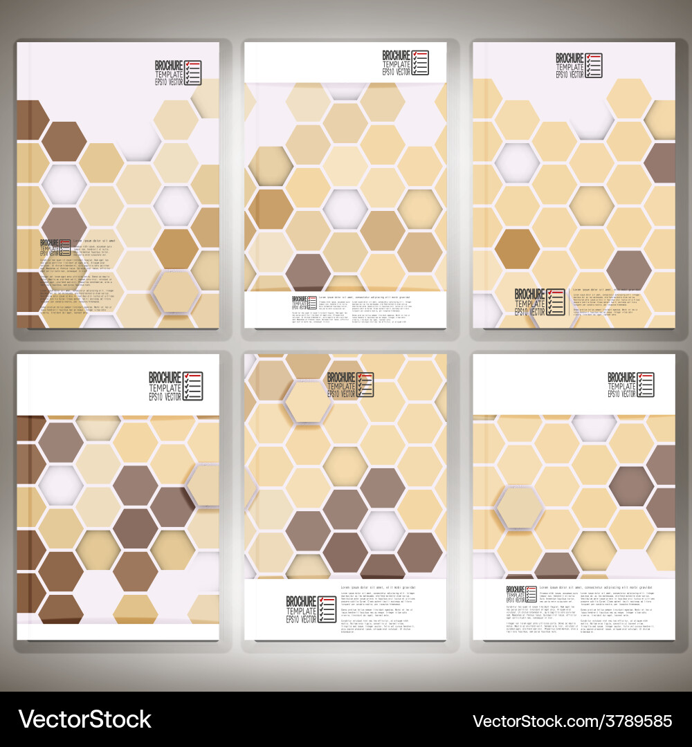 Geometric backgrounds abstract hexagonal patterns Vector Image