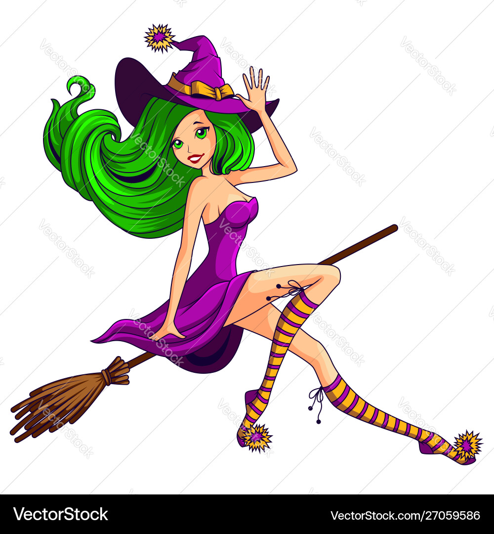 Pretty witch flying on broom isolated Pretty witch flying on broom isolated vector image
