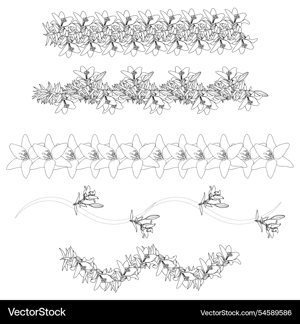 Set of lily borders in doodle style elements Set of lily borders in doodle style elements Vector Image
