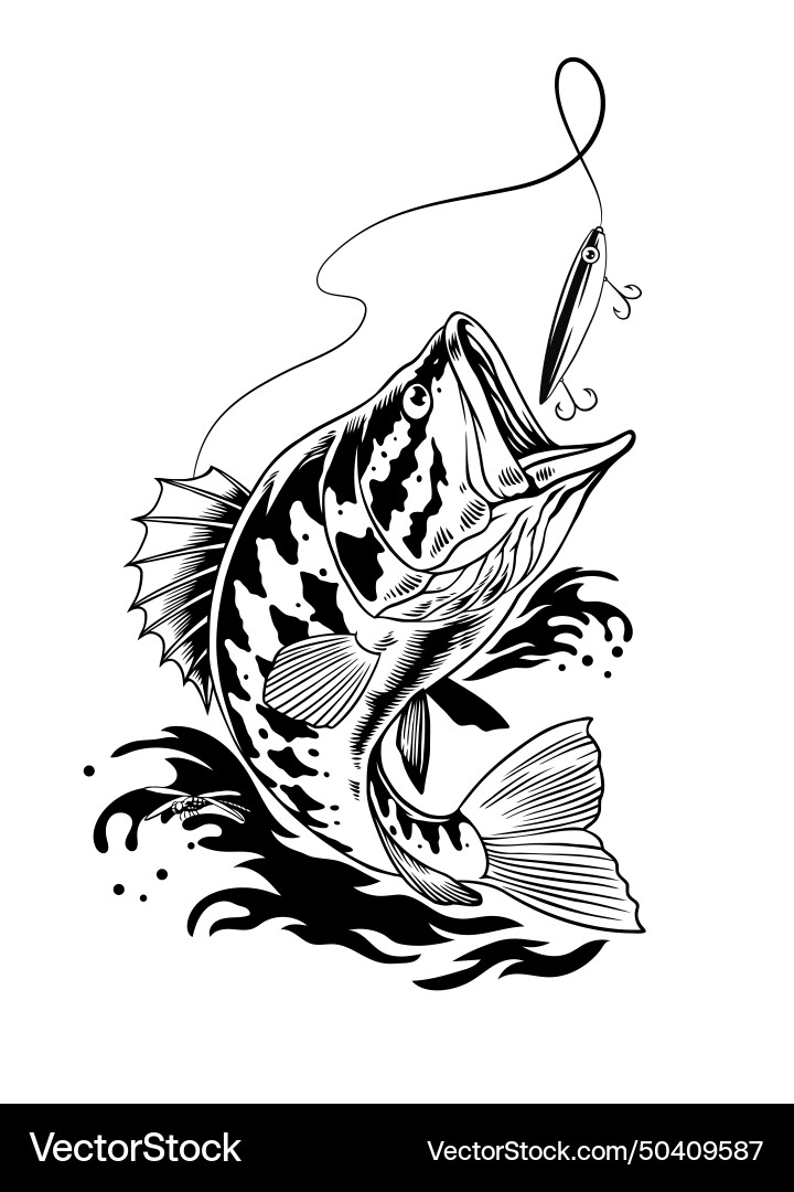 Bass Fisch fangen die Angellure Bass Fisch fangen die Angellure vektorbild