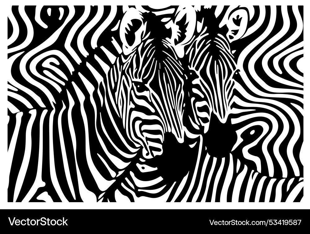 Zebra Stripes Wildlife Vector Image