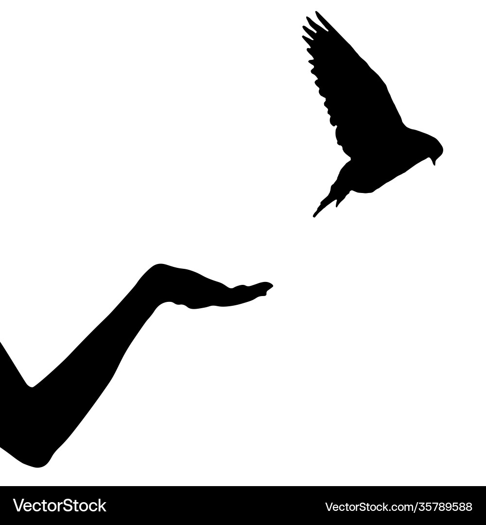 Dove bird flew up from female hand isolated Dove bird flew up from female hand isolated vector image