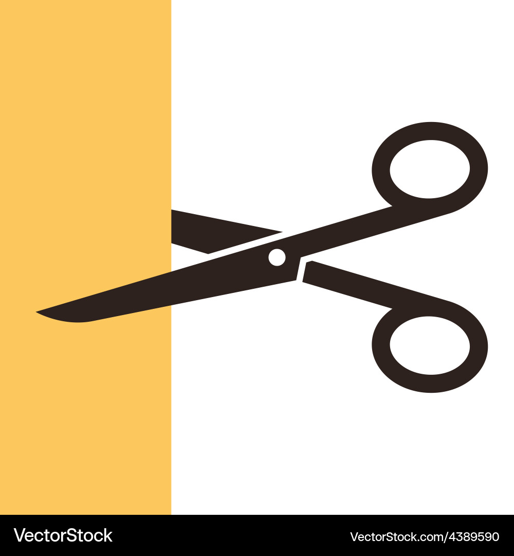 Scissors Icon vector image