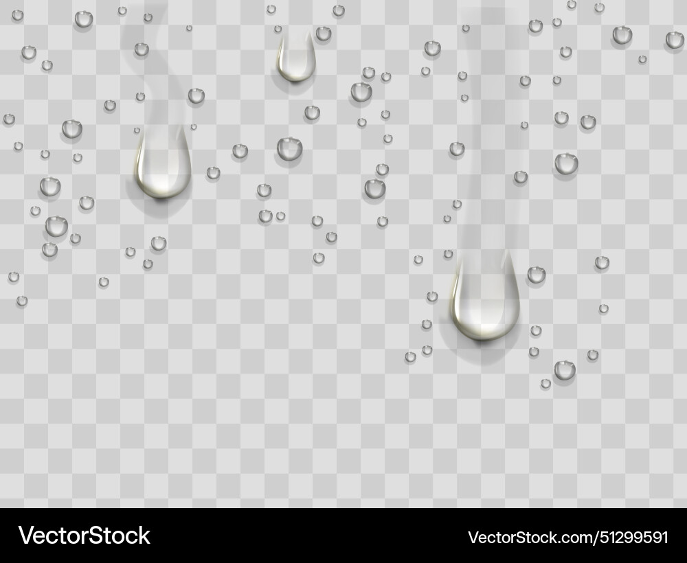 Water rain drops or steam shower isolated Water rain drops or steam shower isolated Vector Image