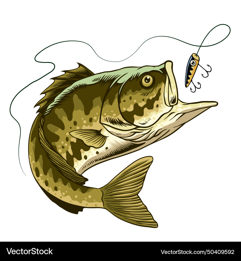 Bass Fishing: Largemouth Bass Catching a Lure Vector Image