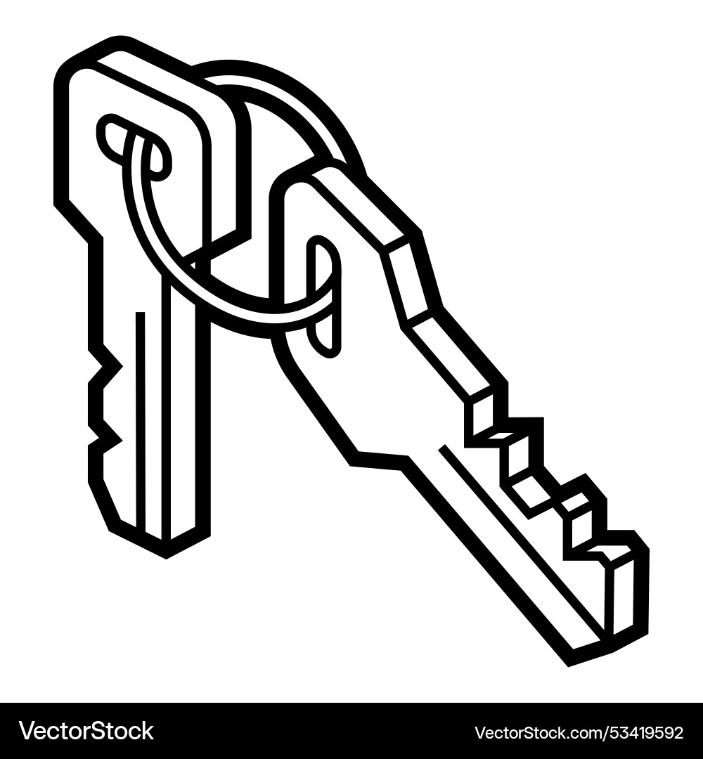 Keys icon in isometry style image for website Keys icon in isometry style image for website vector image