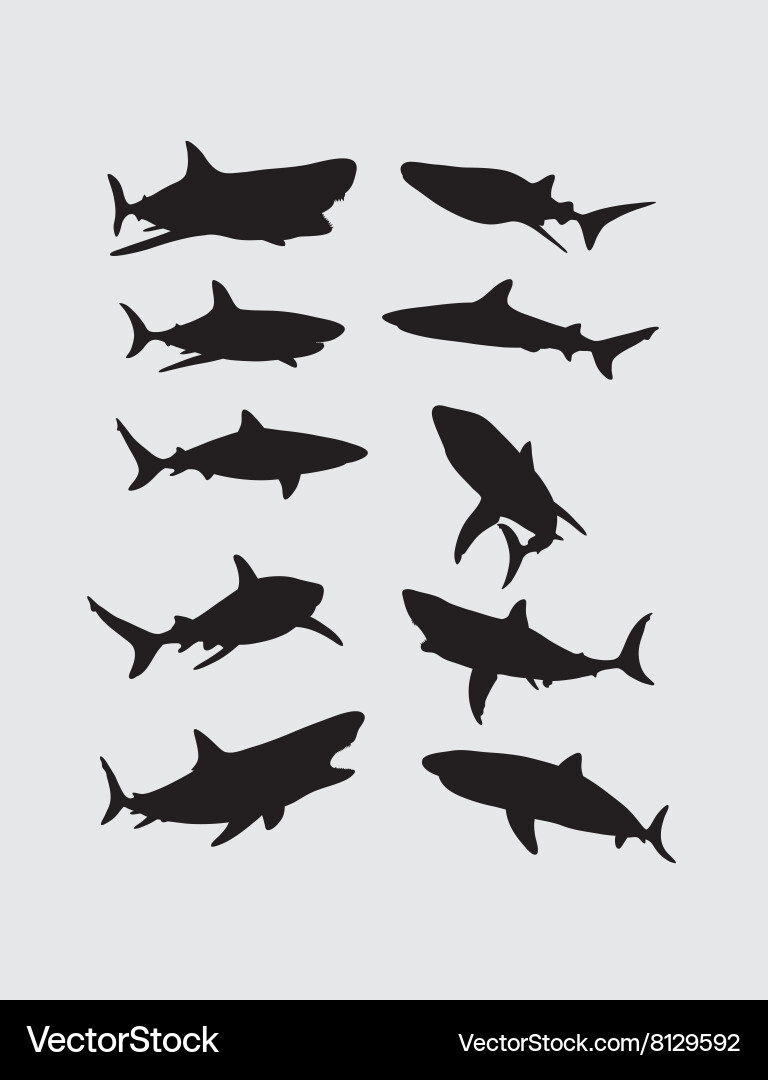 Shark Silhouettes - Dark Art Vector Image