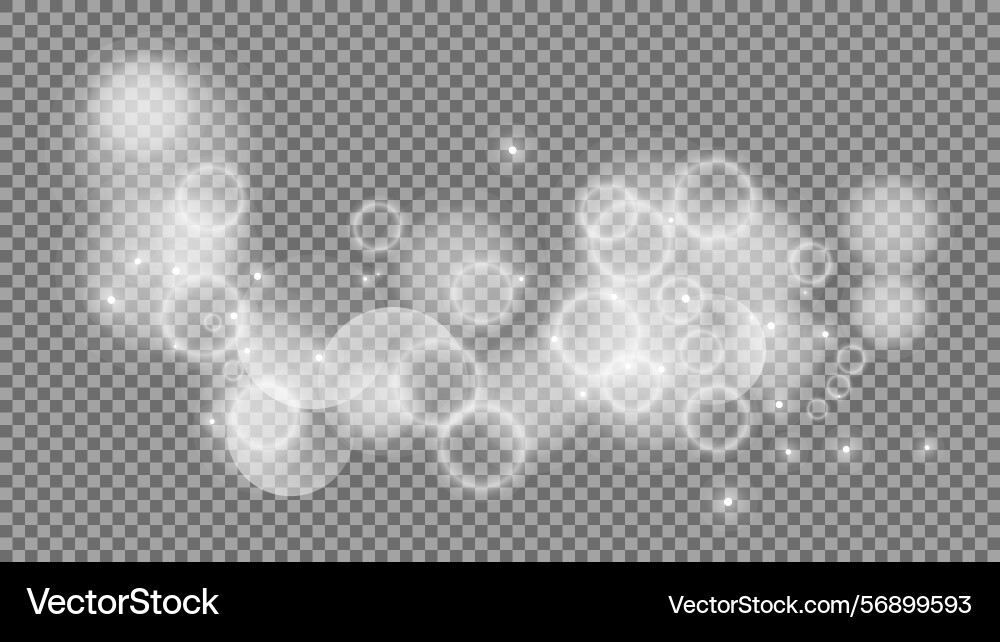 Bokeh circles on transparent background Bokeh circles on transparent background vector image