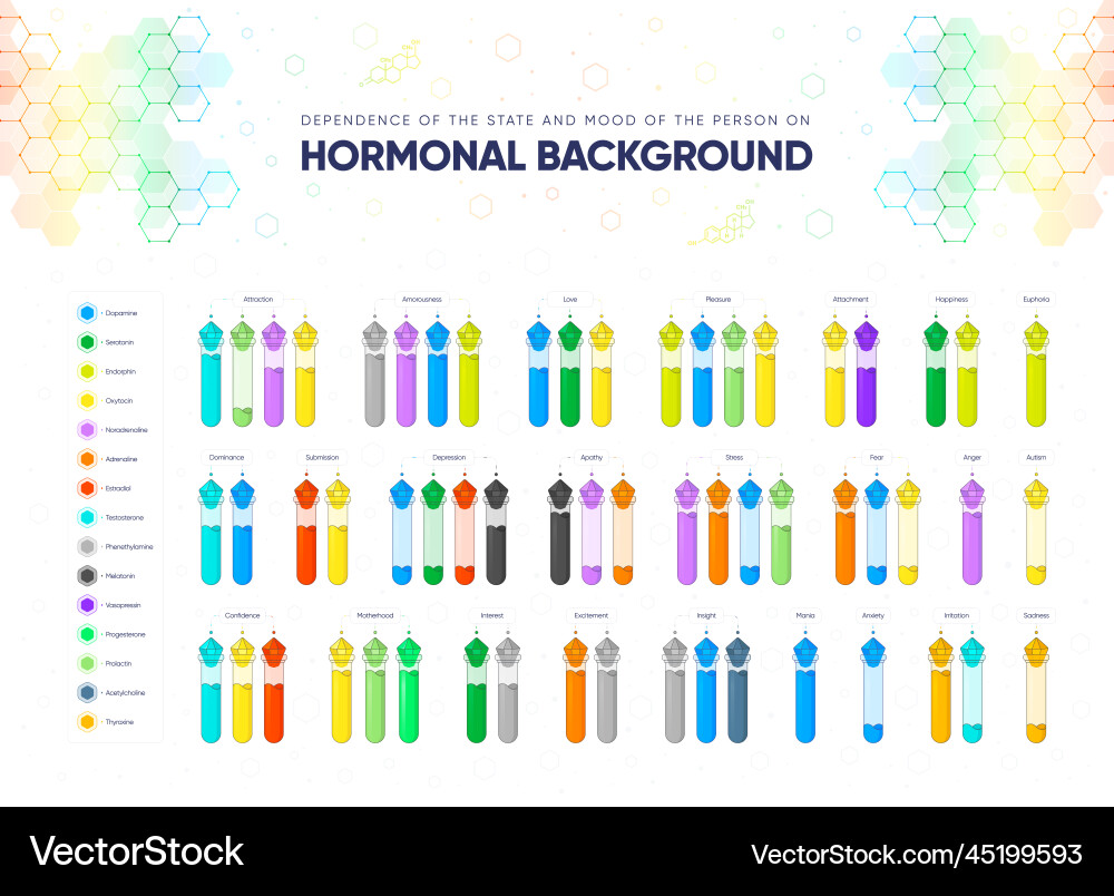 Estradiol Vector Images (über 210)