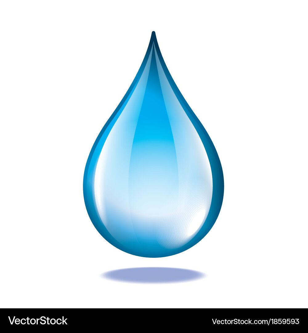 Isolated Water Drop vector image