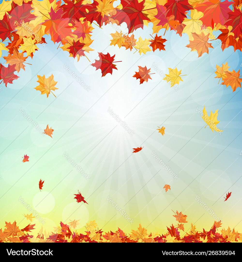 Fall autumn background Royalty Free Vector Image