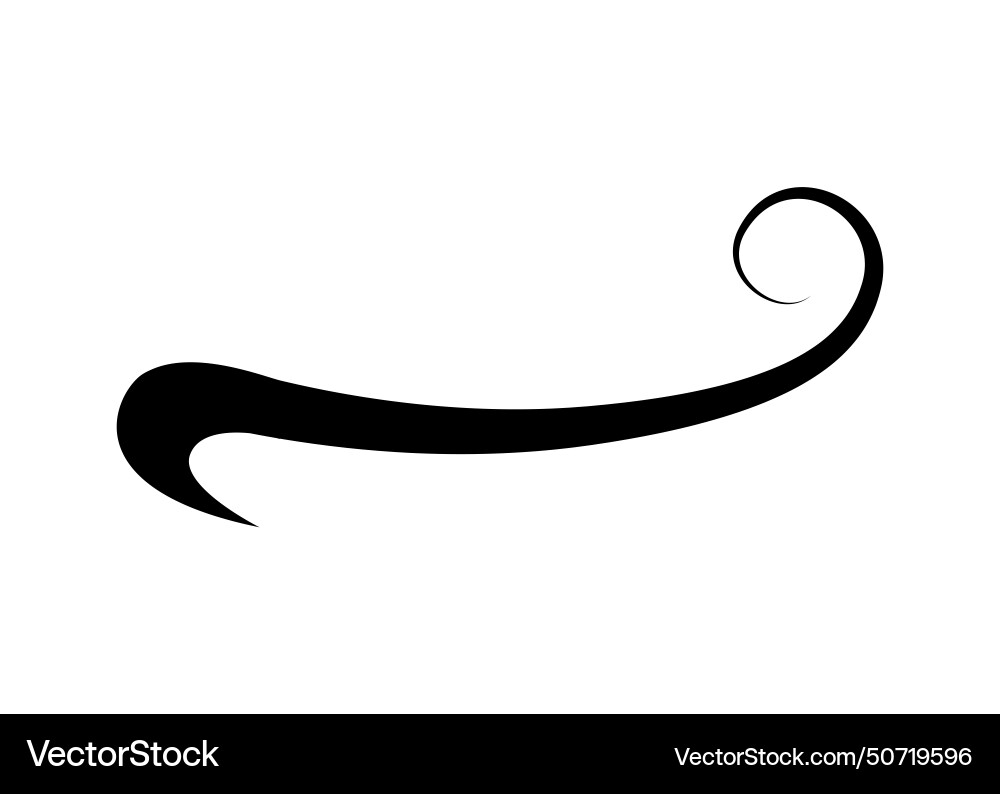 Swoosh typography text tail shape calligraphic Swoosh typography text tail shape calligraphic vector image
