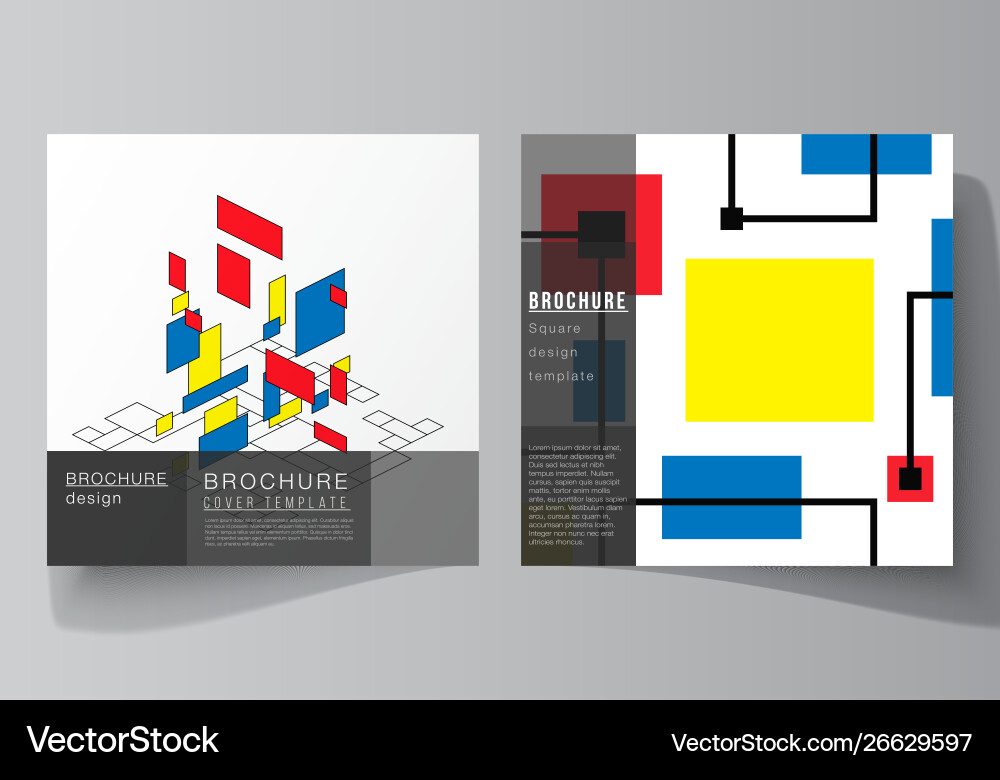 Minimal layout two square format Minimal layout two square format vector image