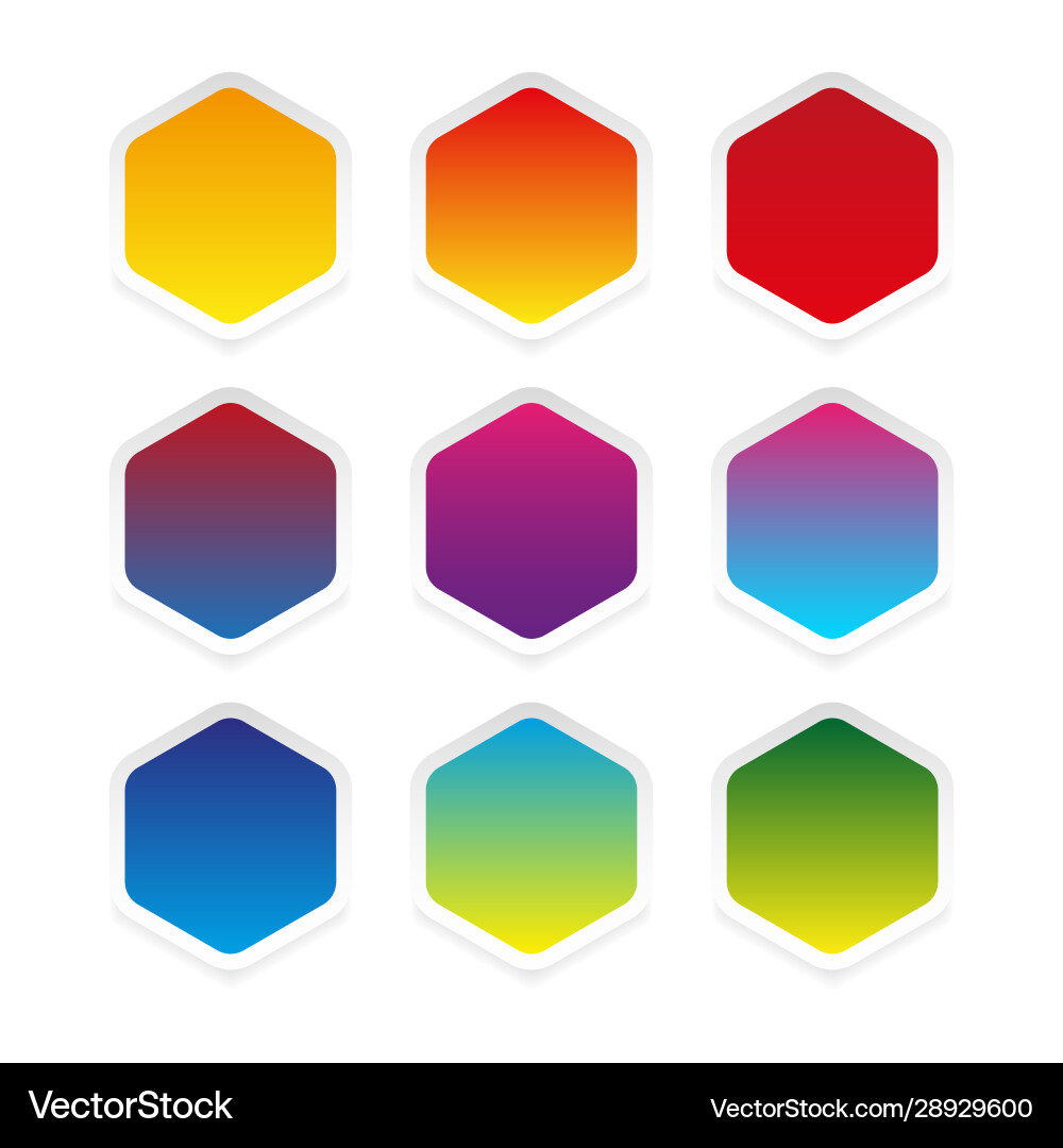 Empty colorful hexagon sticker set Vector Image