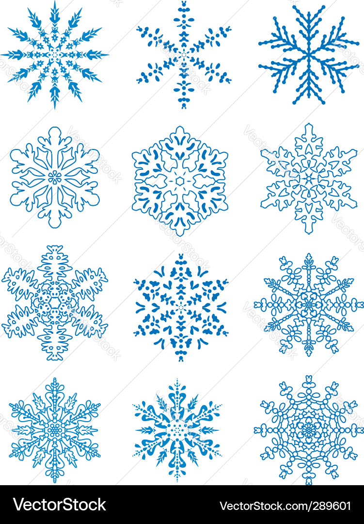 12 snowflakes vector image