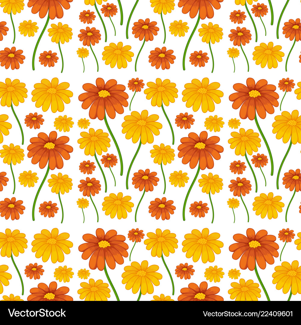 Daisy Flower Seamless Pattern Vector Image