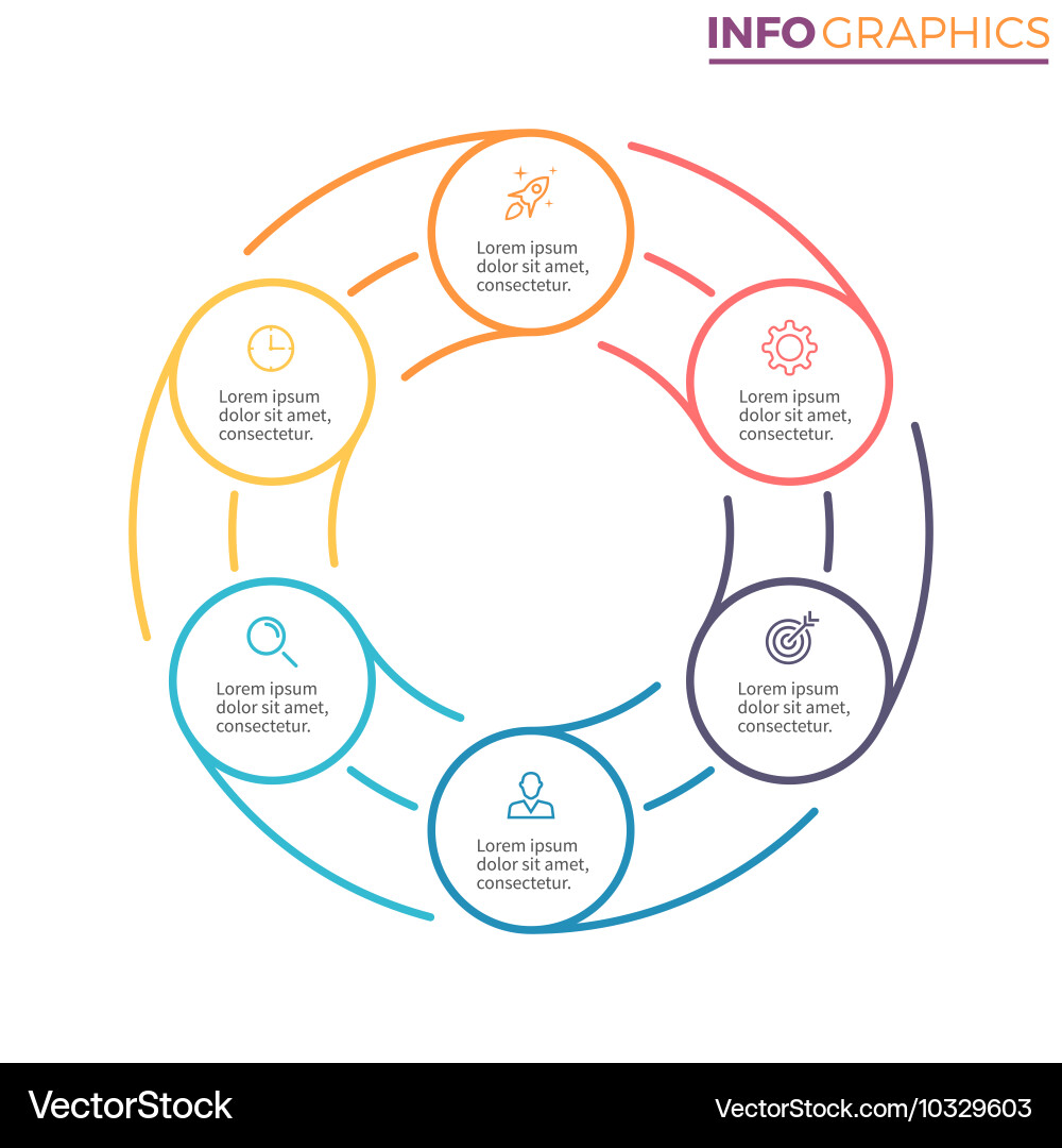 Linear infographics chart with 6 steps options Vector Image