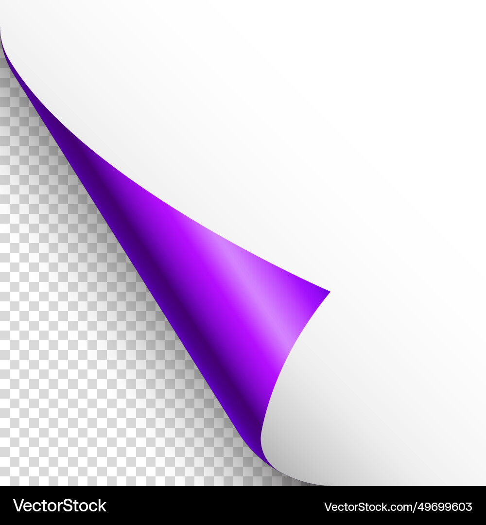 Violet paper curl curled page corner with shadow Violet paper curl curled page corner with shadow vector image