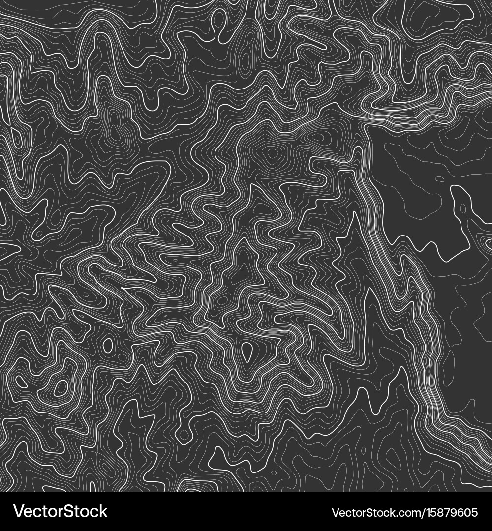 Topographic map background with space for copy vector image