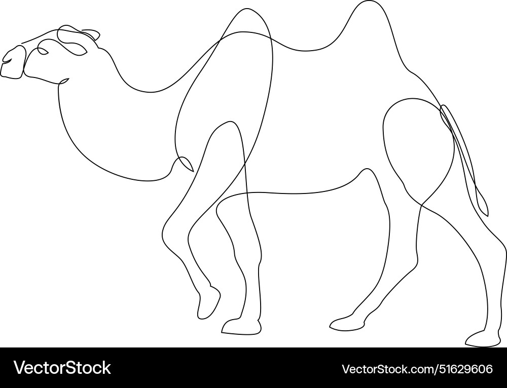 Continuous line drawing of camel one Vector Image