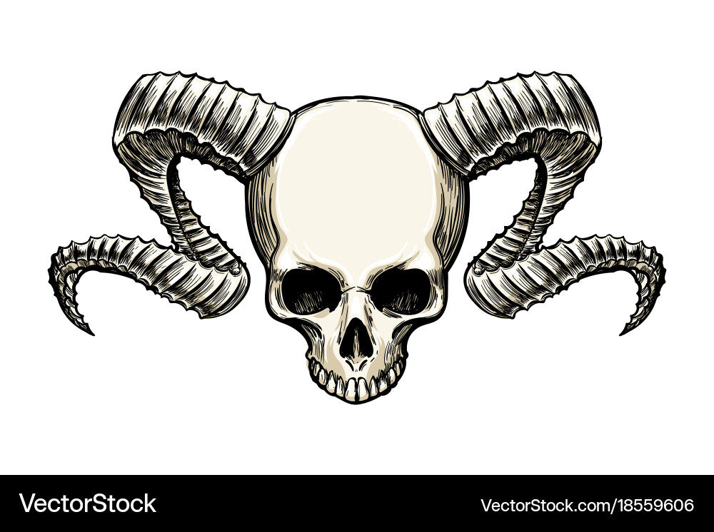 Ram Horn Skull Vector Image