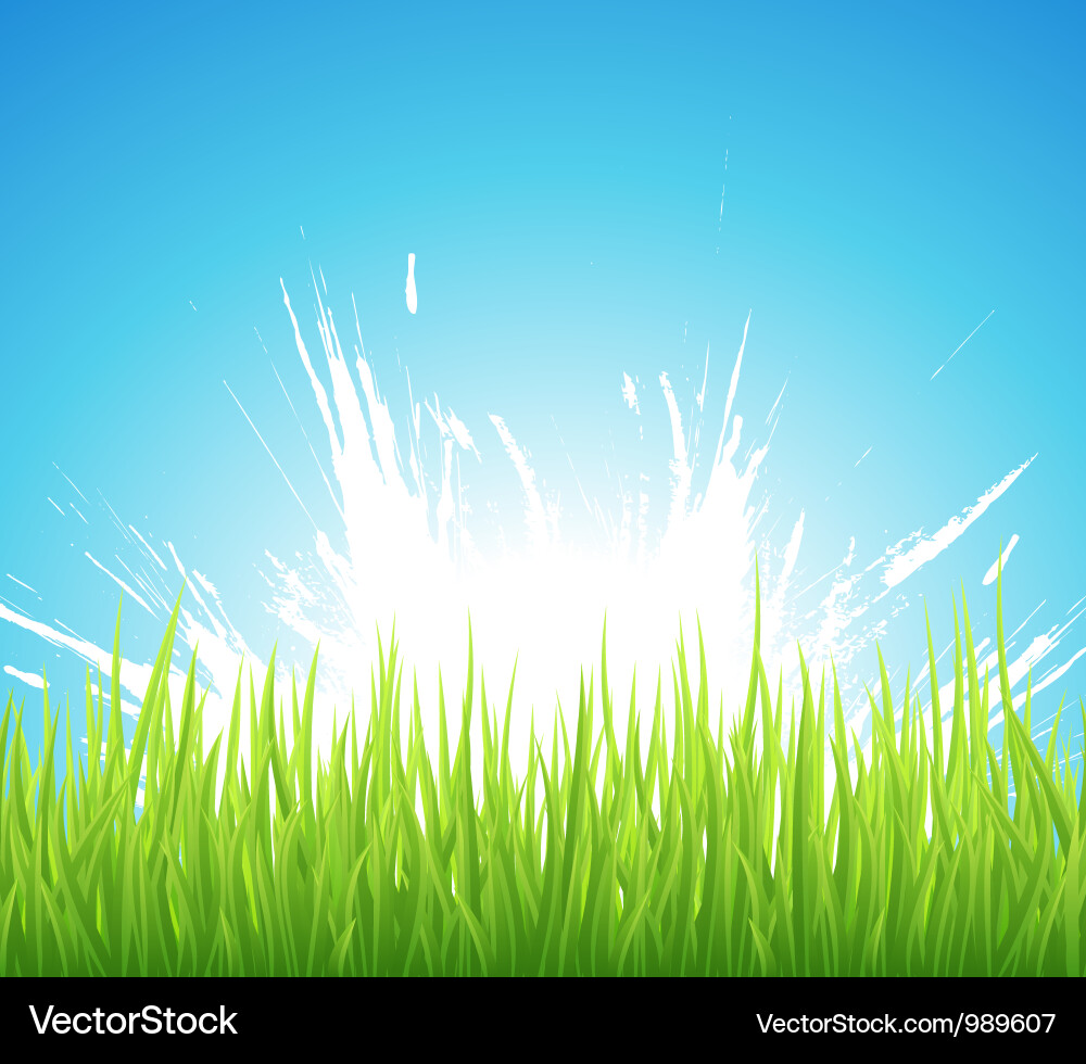 Spring background vector image