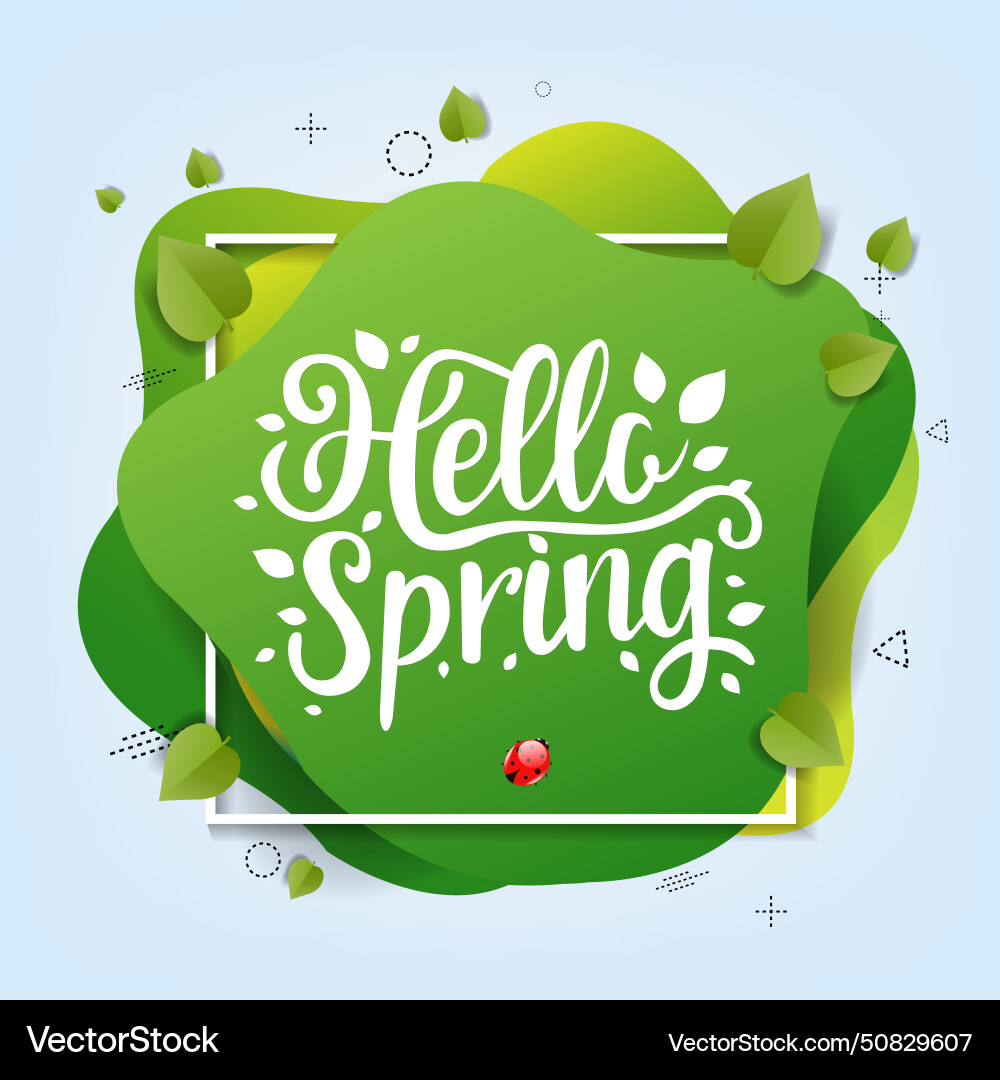 Spring grass border and sunburst background Vector Image