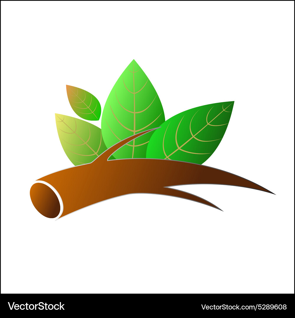 Tree branch with leafs Vector Image