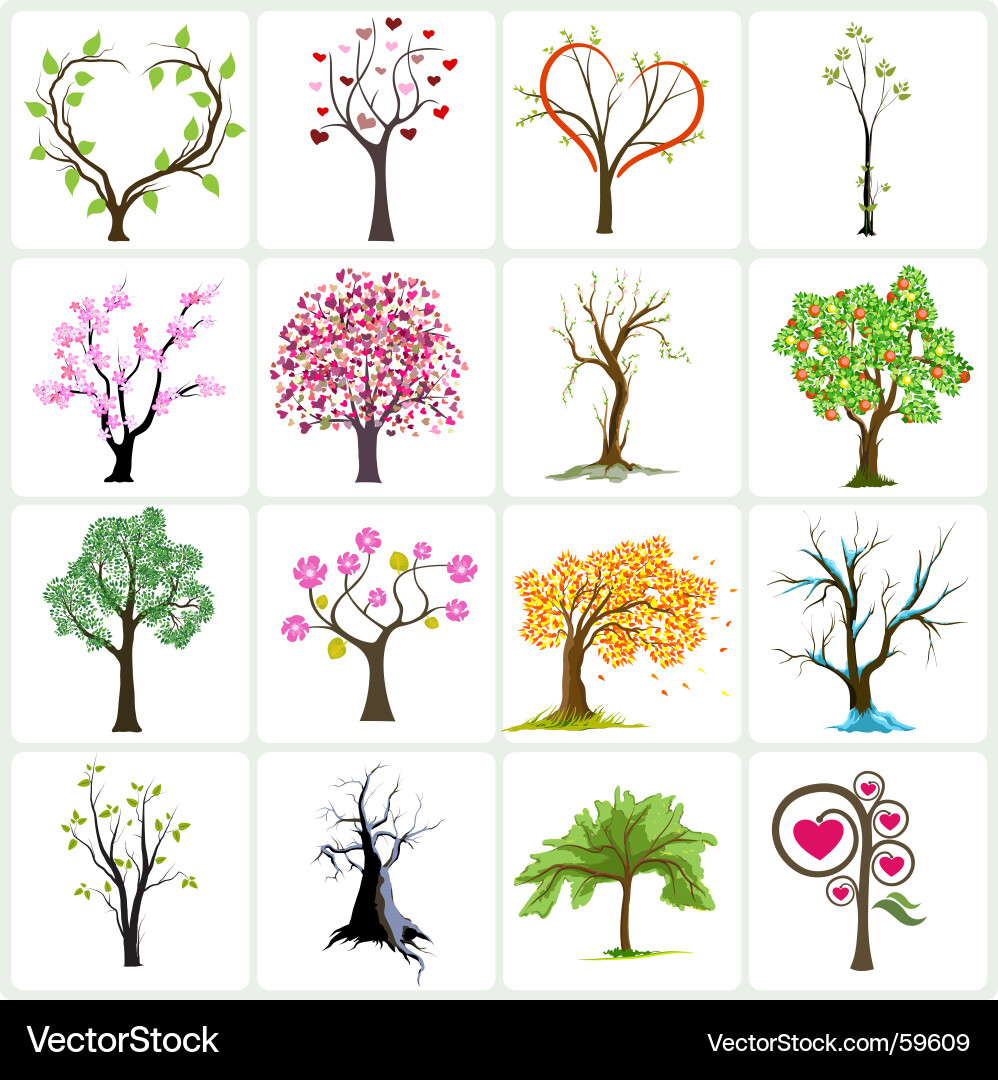 Botanical Tree Collection Vector Image