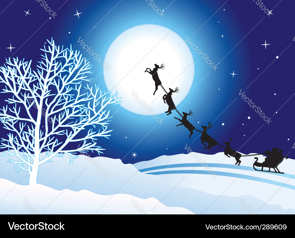 Winter Christmas Scene Vector Image
