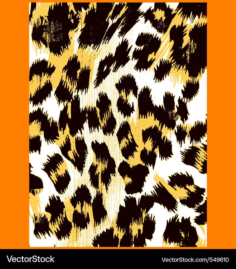 Bold Leopard Print Pattern vector image