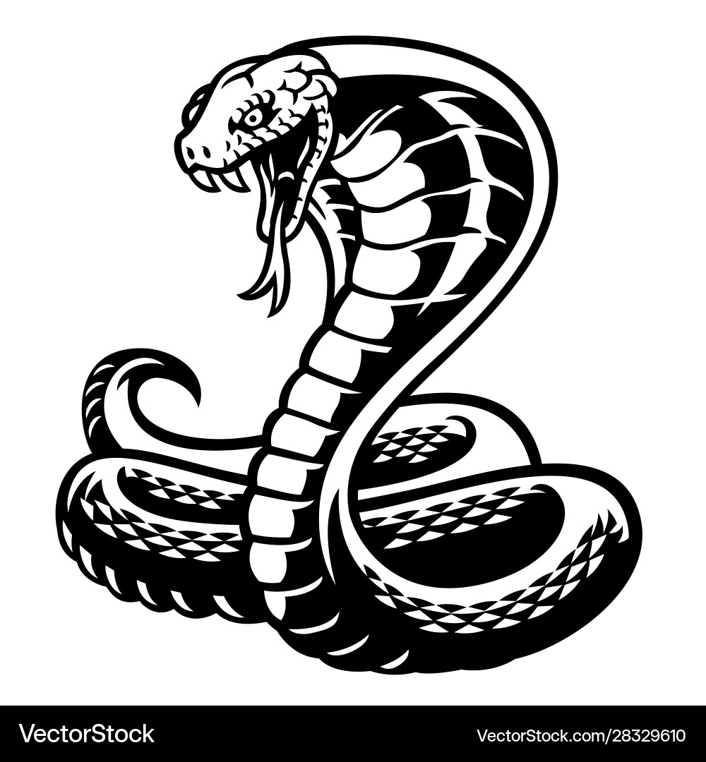 Cobra snake tattoo style in black and white Vector Image