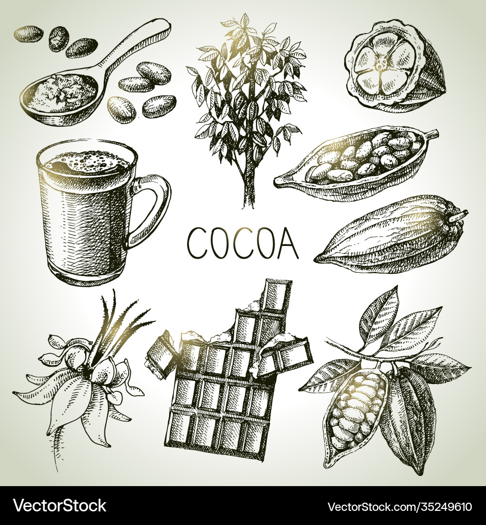 Cocoa Bean Chocolate Sketch Set vector image