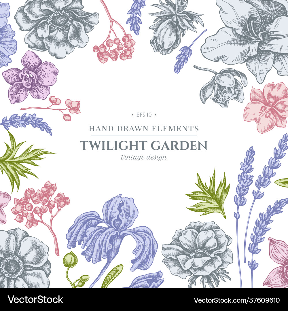 Floral design with pastel anemone lavender Floral design with pastel anemone lavender vector image