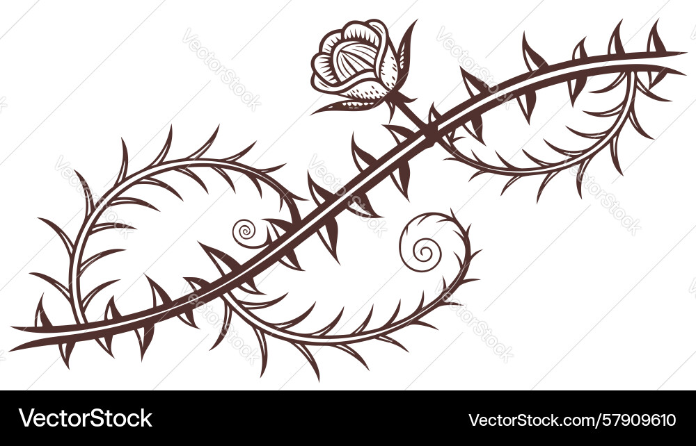Thorny branch pattern decorative element design Vector Image
