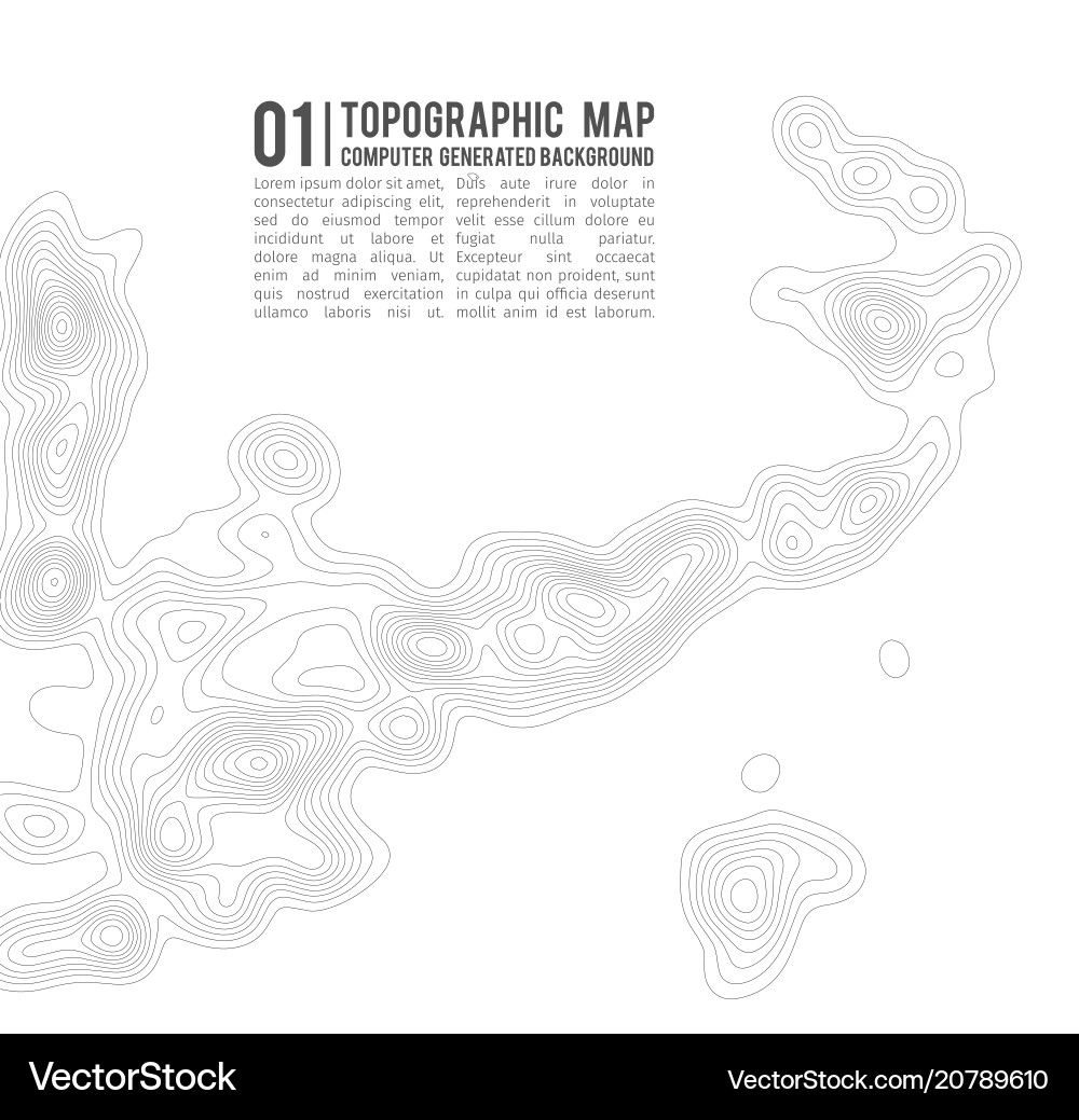 Topographic Contour Map Background vector image