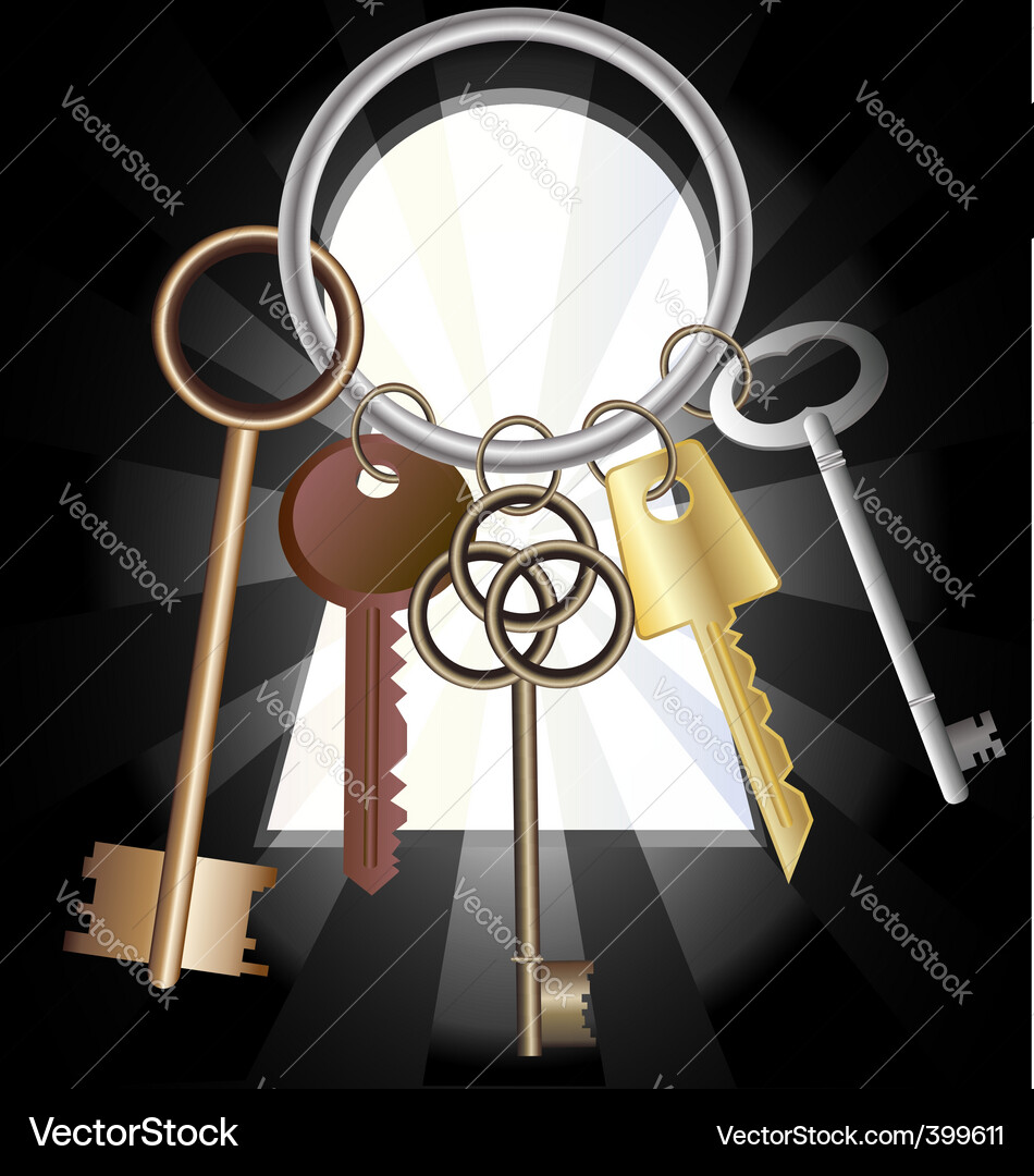 Collection of Keys Vector Image